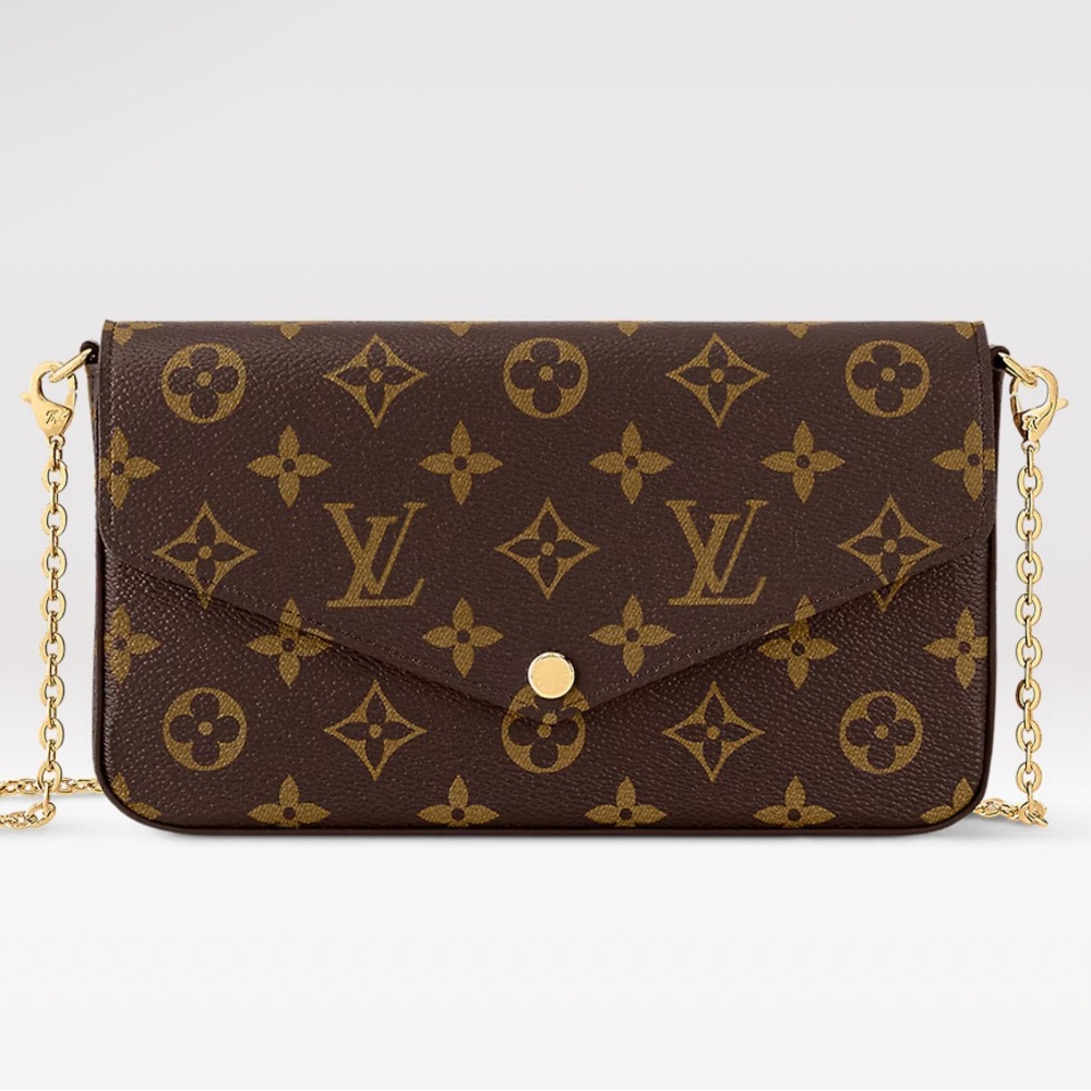Louis Vuitton Felicie Pochette